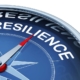 Resilience in Supply Chain Planning © 123RF, Frank Peters