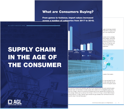 Supply Chain in the Age of the Consumer
